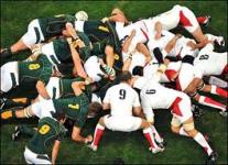 rugby tipster